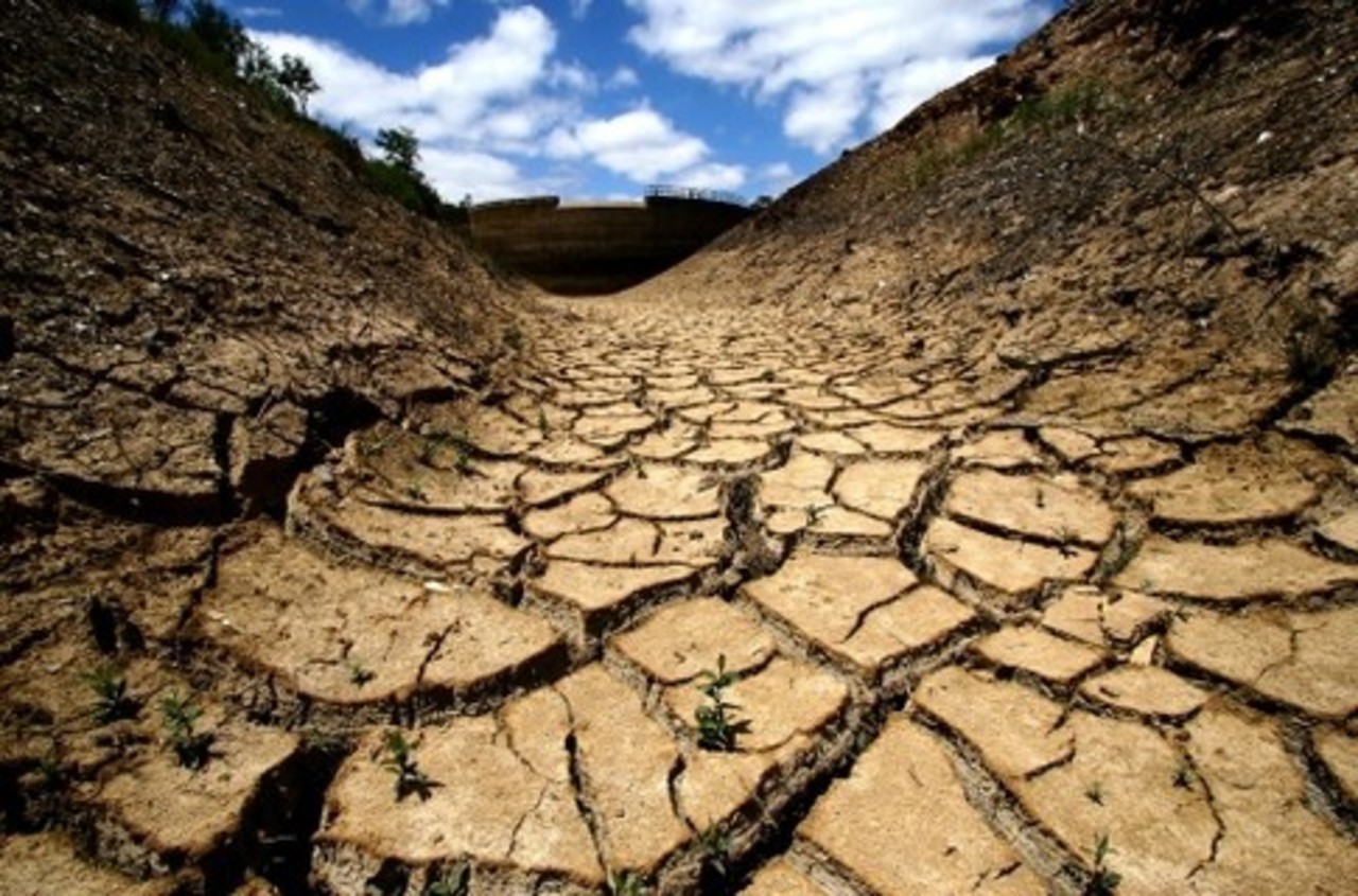 Антропогенные изменения природного ландшафта. Эрозия почвы. Разрушение почвы. Вырубка лесов и опустынивание. Почвенная эрозия.