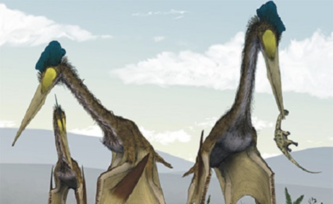 Картинки по запросу Динозавры летающие картинки