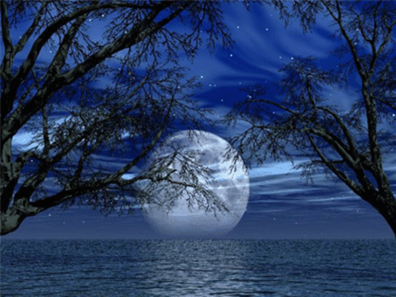 Луна взошла светло. Лунная ночь. Лунный пейзаж. Полная Луна. Красивая ночь.