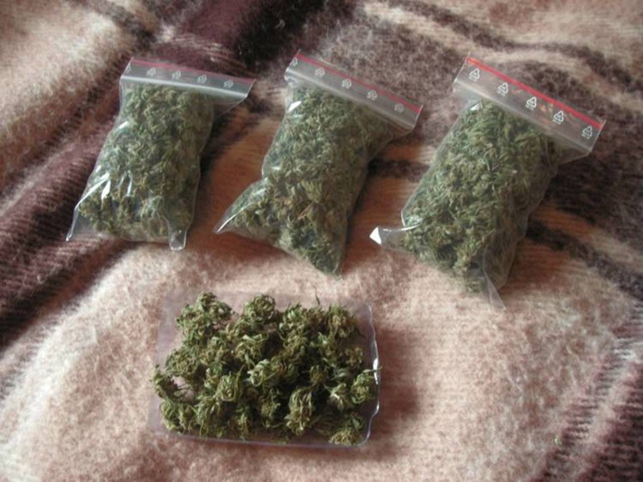Торговлей марихуаной передачи про наркотики i