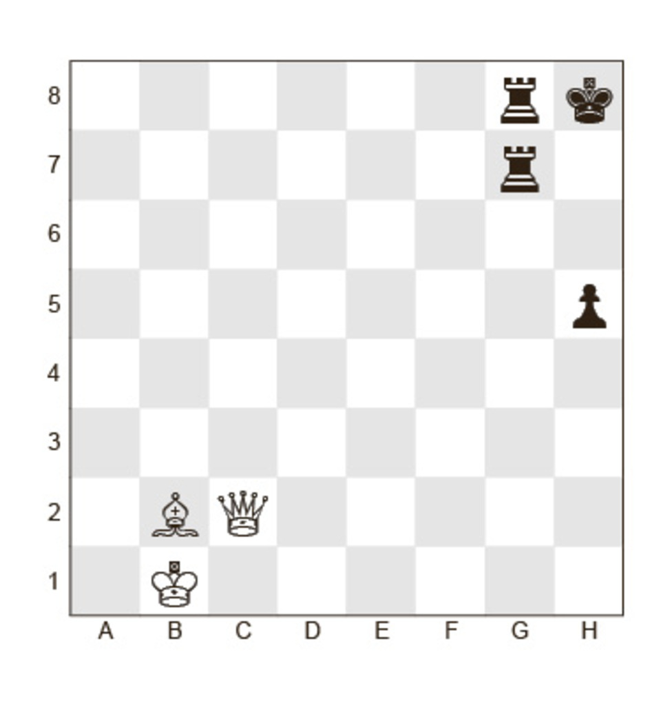 Задание №11.
Белые:	Кр b1, Ф c2, С b2;
Черные:	Кр h8, Л g8, Л g7, п h5;
